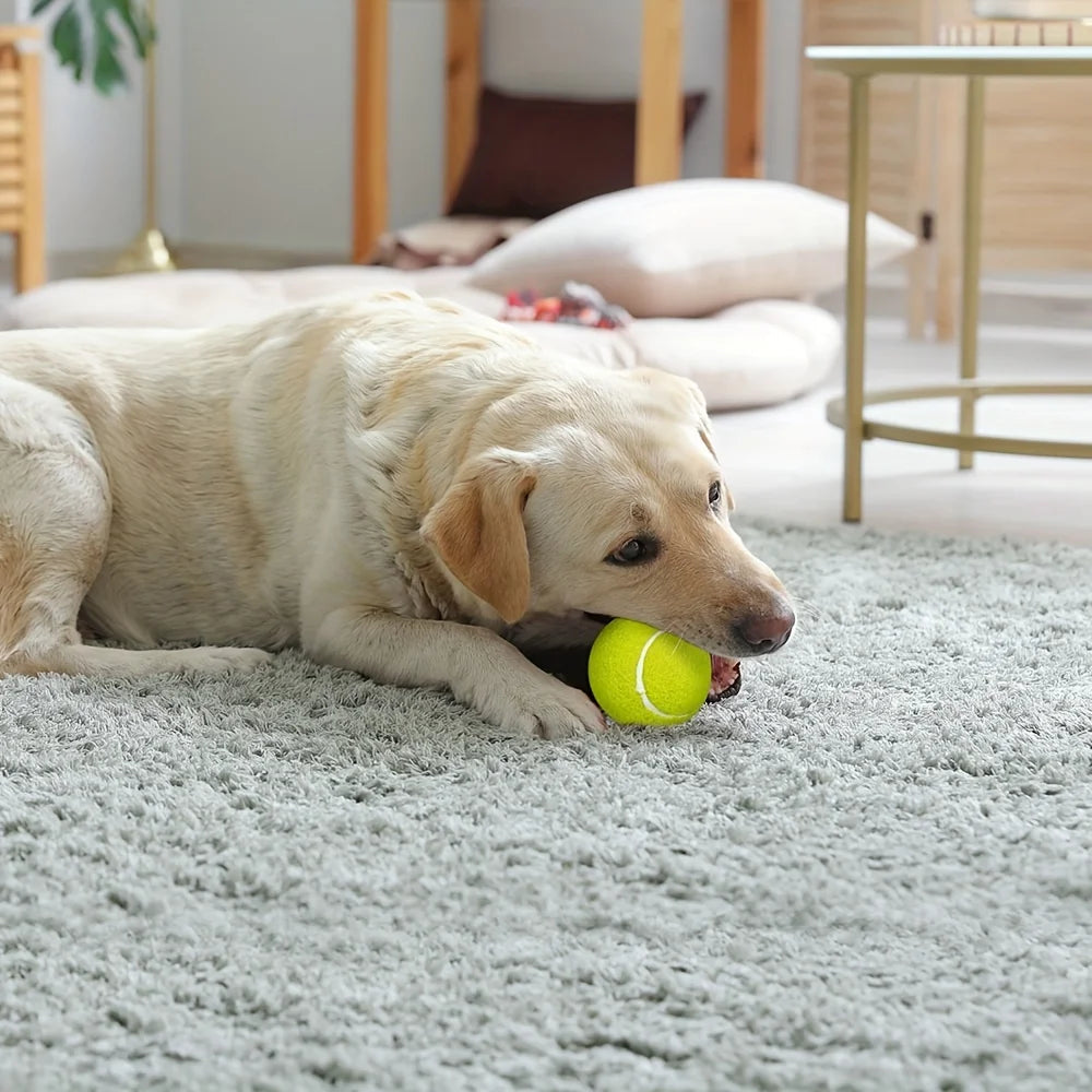 Set de 3 Pelotas de Tenis Reforzadas Prime Pets para Perros (2.5 Pulgadas) – Pelotas Interactivas con Super Rebote para Jugar al Cobro en Interiores y Exteriores