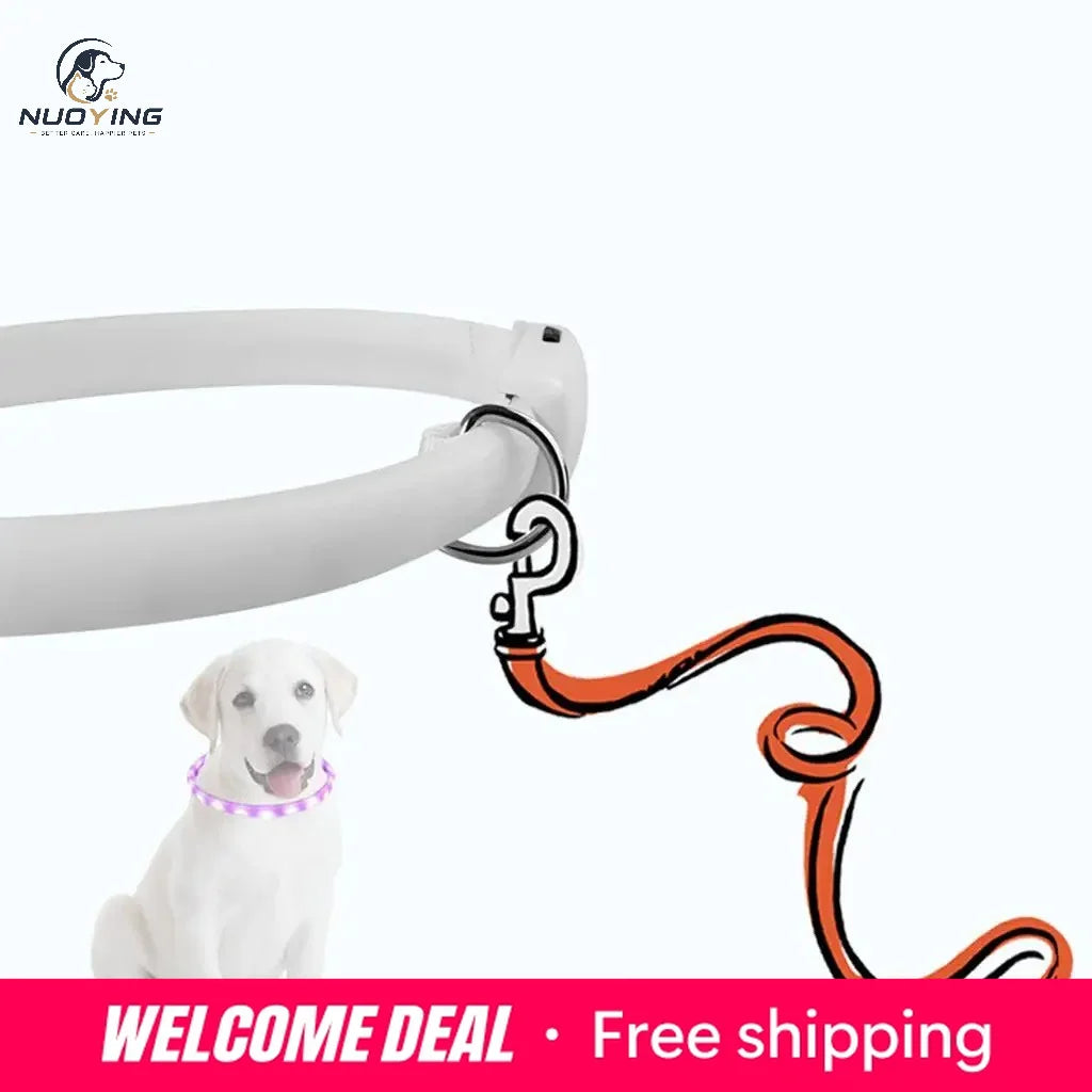 Collar LED Recargable por USB para Perros - Collar Luminoso de Alta Visibilidad, Resistente al Agua y Recortable para Seguridad en Paseos Nocturnos (Tallas S, M y L)
