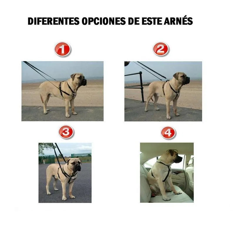 Arnés de Control Antitirones SanDimas Kumfi para Perros - Ajustable (Tallas M a XL) de Nailon Resistente con Tres Puntos de Anclaje para Paseos y Viajes Seguros