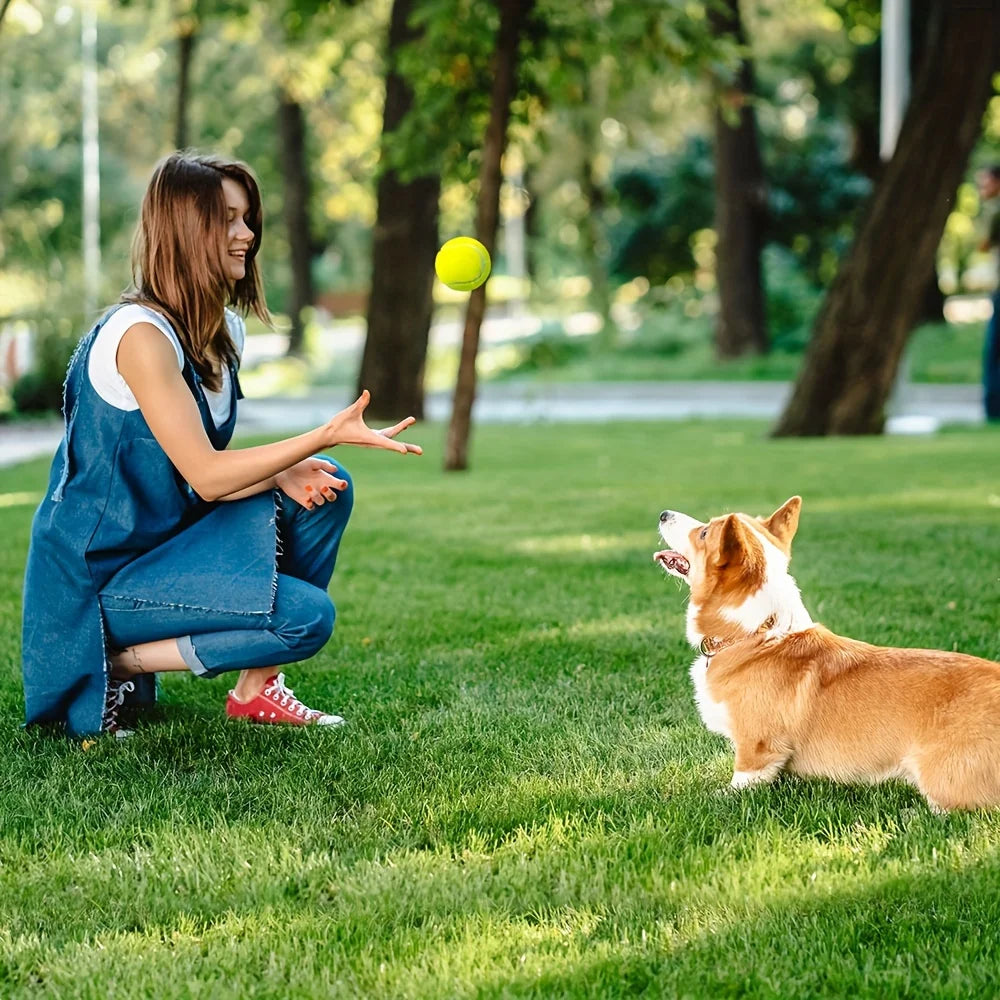 Set de 3 Pelotas de Tenis Reforzadas Prime Pets para Perros (2.5 Pulgadas) – Pelotas Interactivas con Super Rebote para Jugar al Cobro en Interiores y Exteriores