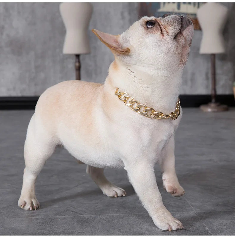 Collar de Cadena para Perros Pequeños y Medianos – Collar Metalizado Dorado y Plateado
