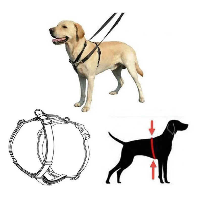 Arnés de Control Antitirones SanDimas Kumfi para Perros - Ajustable (Tallas M a XL) de Nailon Resistente con Tres Puntos de Anclaje para Paseos y Viajes Seguros
