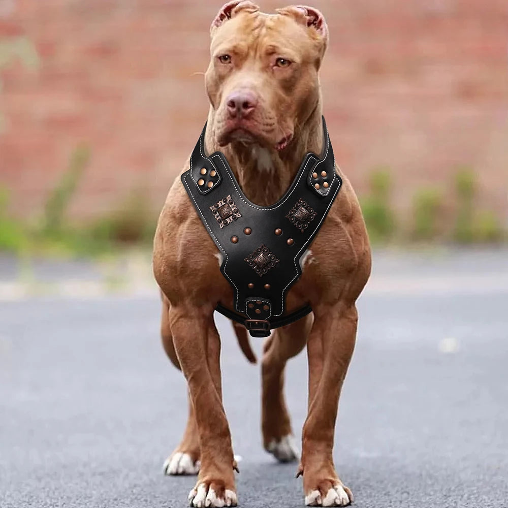 Arnés de Cuero Real para Perros Grandes Resistente con Asa de Control Rápido para Pastor Alemán y Razas Grandes