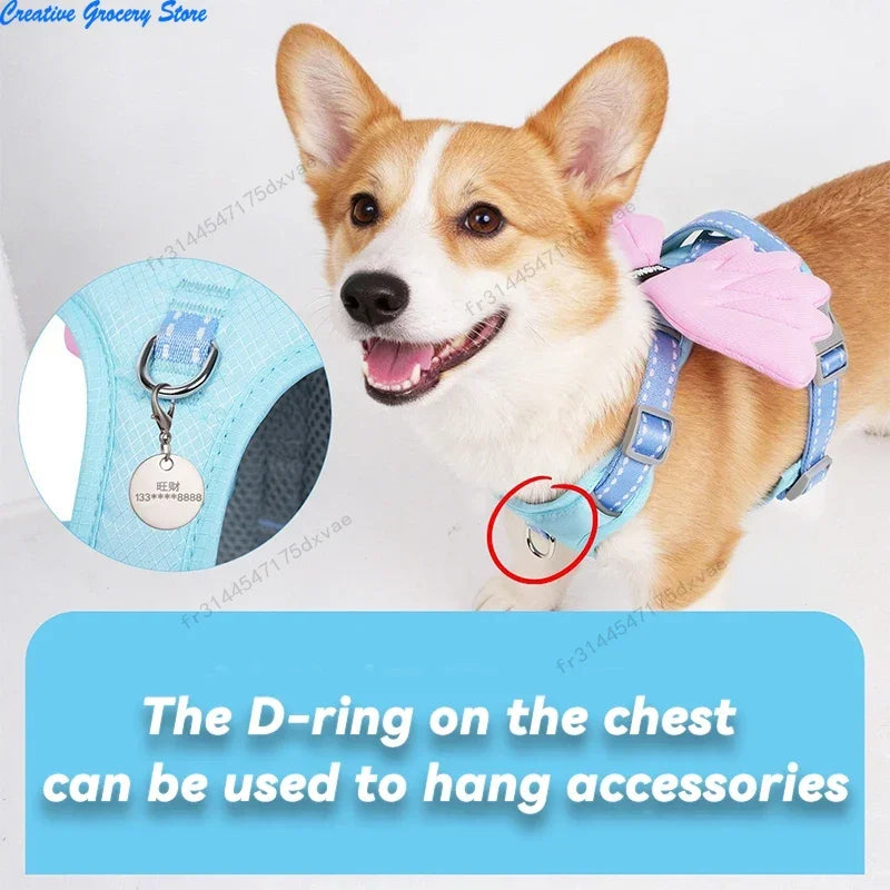 Conjunto de Arnés y Correa con Alas de Ángelet - Chaleco Anti escape Transpirable y Ajustable para Paseos y Adiestramiento de Cachorros y Perros Pequeños