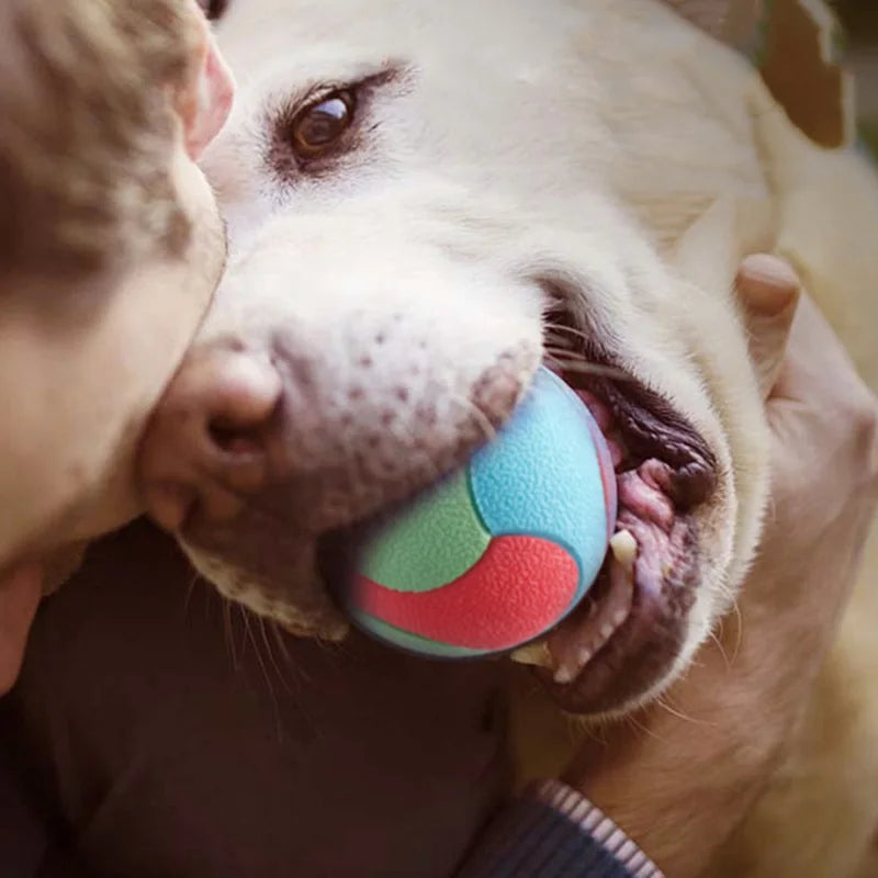 Pelota de Juguete Cuerda y Goma Elástica e Interactiva para Perros – Pelota Mordedora Alta Saltabilidad, Limpieza Dental y Entrenamiento