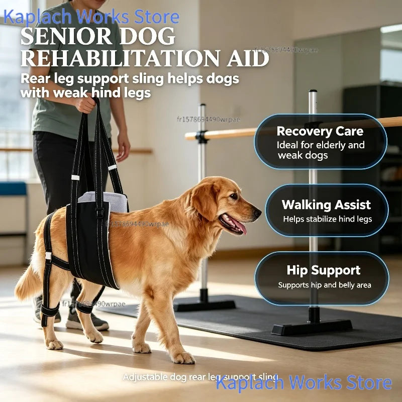 Arnés de Soporte Ajustable para Patas Traseras de Perros - Faja de Rehabilitación y Asistencia para Mascotas Mayores, con Movilidad Reducida o Debilidad
