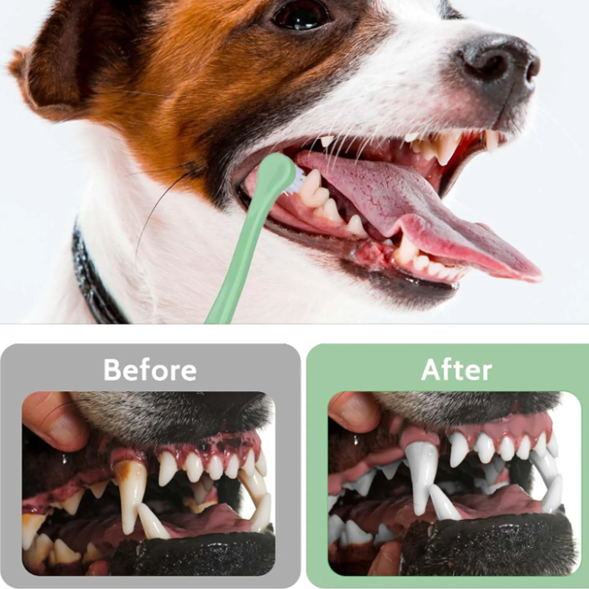 Set de 3 Cepillos de Dientes para Mascotas con Cerdas Suaves – Higiene Dental para Perros Pequeños, Medianos, Grandes y Gatos