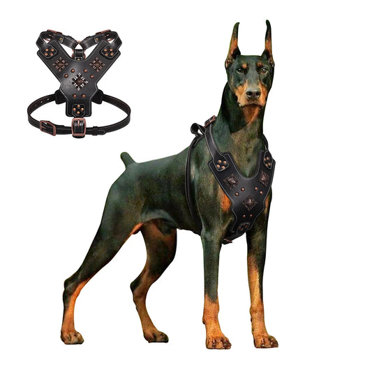 Arnés de Cuero Real para Perros Grandes Resistente con Asa de Control Rápido para Pastor Alemán y Razas Grandes