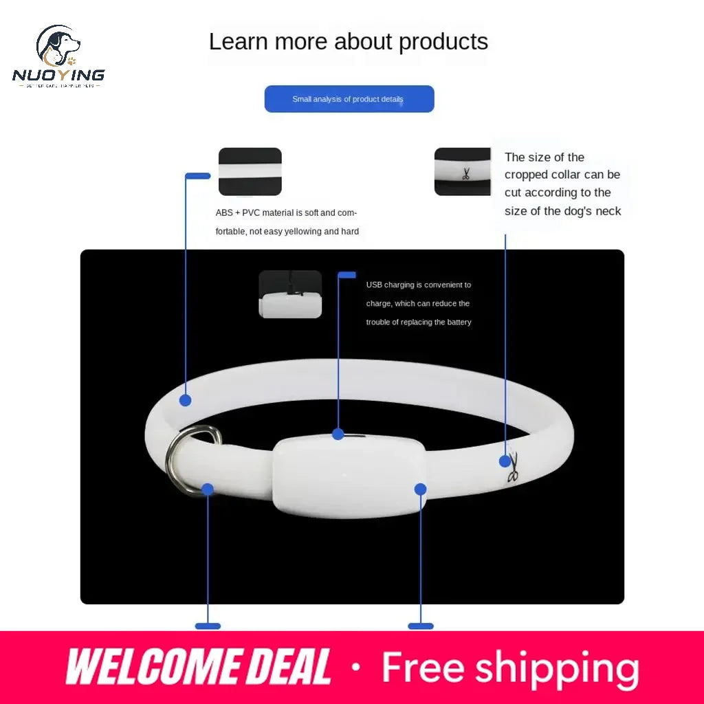 Collar LED Recargable por USB para Perros - Collar Luminoso de Alta Visibilidad, Resistente al Agua y Recortable para Seguridad en Paseos Nocturnos (Tallas S, M y L)