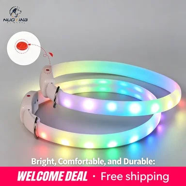 Collar LED Recargable por USB para Perros - Collar Luminoso de Alta Visibilidad, Resistente al Agua y Recortable para Seguridad en Paseos Nocturnos (Tallas S, M y L)