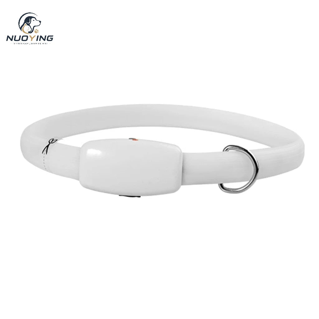 Collar LED Recargable por USB para Perros - Collar Luminoso de Alta Visibilidad, Resistente al Agua y Recortable para Seguridad en Paseos Nocturnos (Tallas S, M y L)