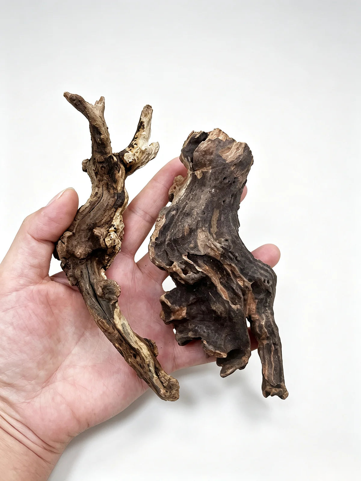Raíz de Madera Natural Hundible para Acuarios y Terrarios – Tronco Decorativo para Paisajismo Acuático (Aquascaping) y Plantas