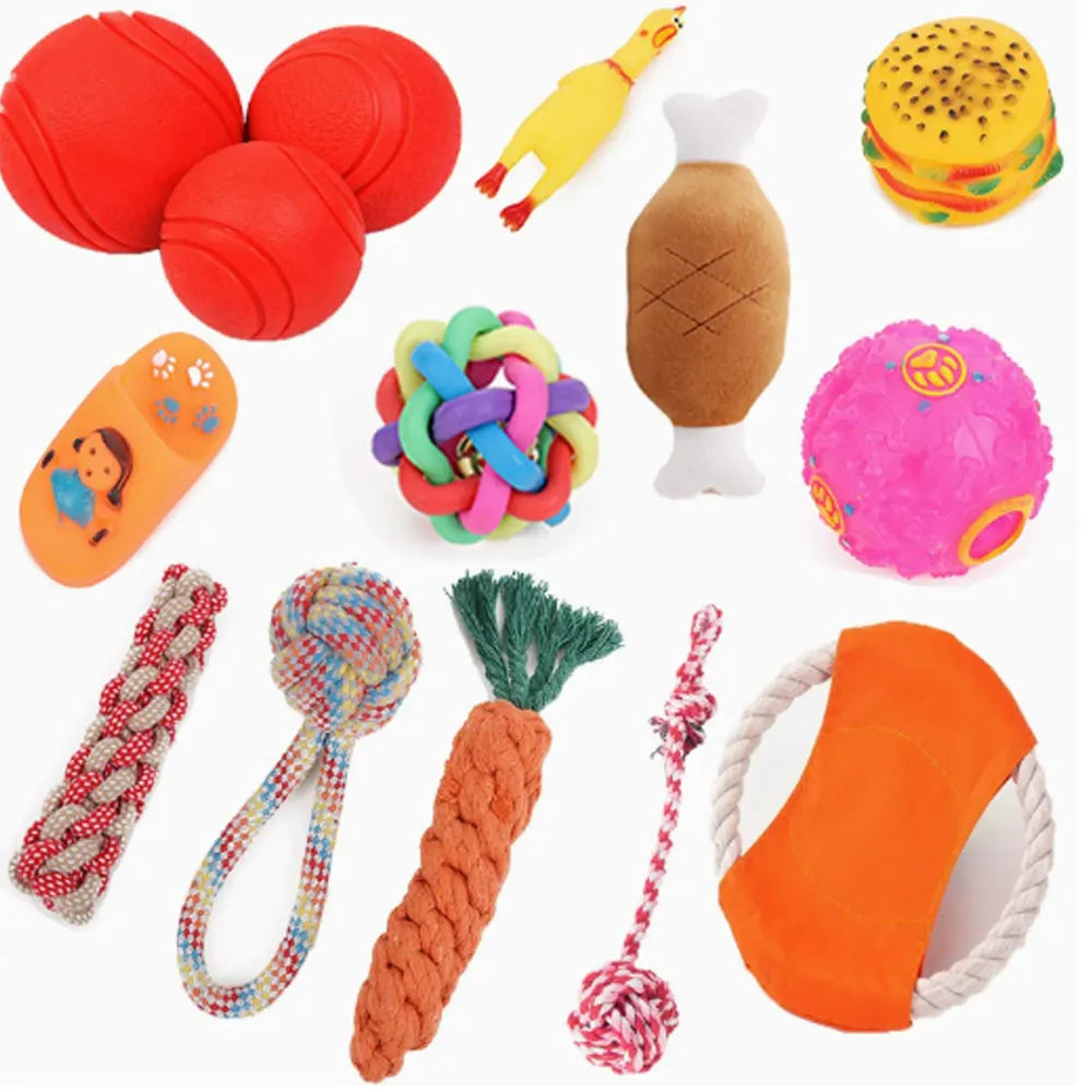 Kit de Juguetes Interactivos para Perros y Cachorros – Set Multiproducto con Zanahoria Mordedora de Cuerda, Pelotas de Goma y Frisbee Resistente a Mordeduras