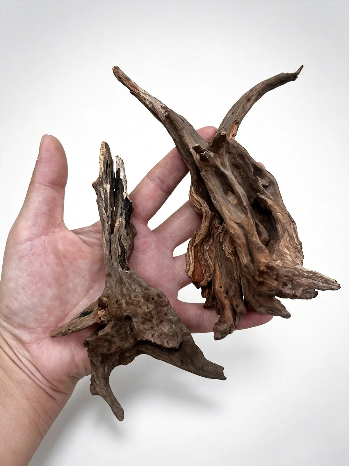 Raíz de Madera Natural Hundible para Acuarios y Terrarios – Tronco Decorativo para Paisajismo Acuático (Aquascaping) y Plantas