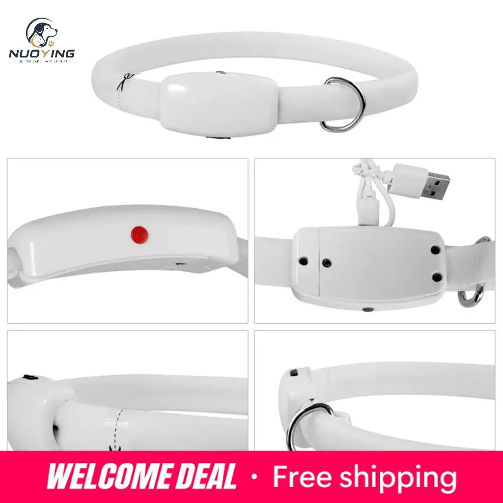 Collar LED Recargable por USB para Perros - Collar Luminoso de Alta Visibilidad, Resistente al Agua y Recortable para Seguridad en Paseos Nocturnos (Tallas S, M y L)