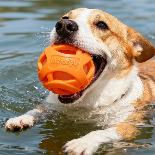 Pelota Hueca Elástica y Resistente a Mordeduras para Mascotas