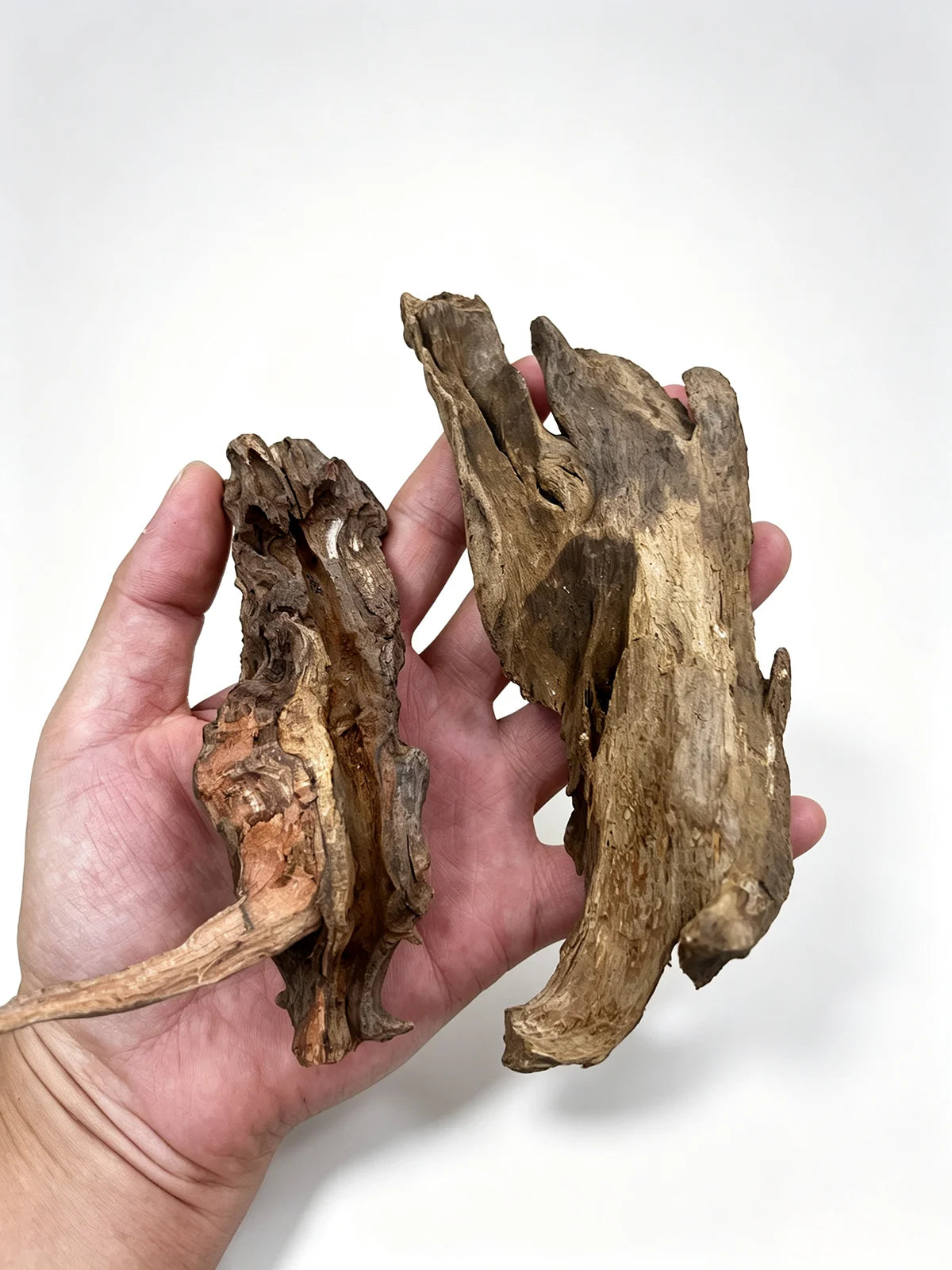 Raíz de Madera Natural Hundible para Acuarios y Terrarios – Tronco Decorativo para Paisajismo Acuático (Aquascaping) y Plantas