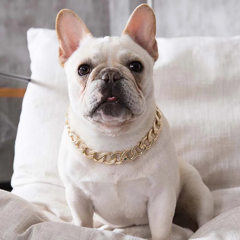 Collar de Cadena para Perros Pequeños y Medianos – Collar Metalizado Dorado y Plateado