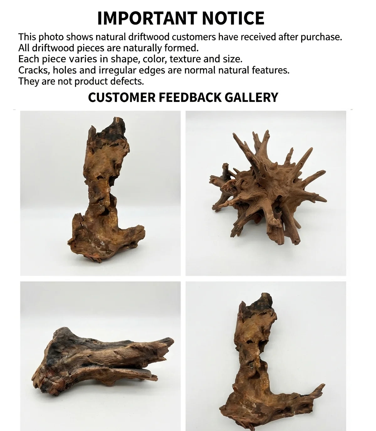 Raíz de Madera Natural Hundible para Acuarios y Terrarios – Tronco Decorativo para Paisajismo Acuático (Aquascaping) y Plantas