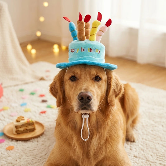 Set de Gorro de Fiesta de Cumpleaños y Juguete para Perros y Gatos – Kit Celebración Cómodo, Resistente a Mordeduras y Accesorio para Fotos