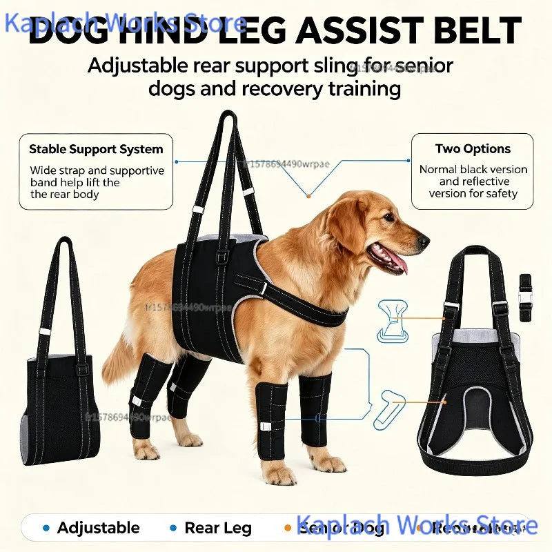 Arnés de Soporte Ajustable para Patas Traseras de Perros - Faja de Rehabilitación y Asistencia para Mascotas Mayores, con Movilidad Reducida o Debilidad