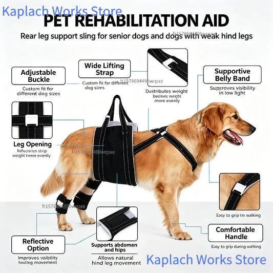 Arnés de Soporte Ajustable para Patas Traseras de Perros - Faja de Rehabilitación y Asistencia para Mascotas Mayores, con Movilidad Reducida o Debilidad
