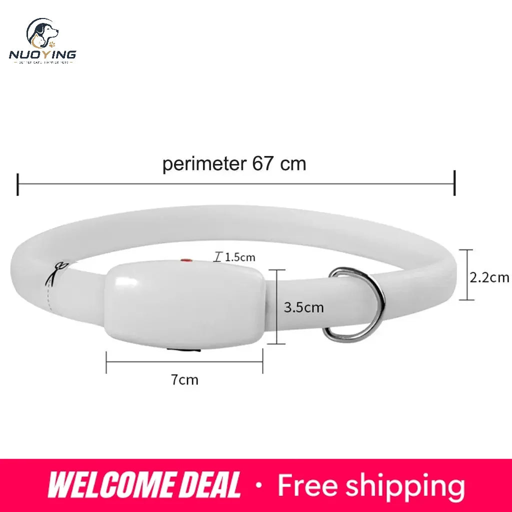 Collar LED Recargable por USB para Perros - Collar Luminoso de Alta Visibilidad, Resistente al Agua y Recortable para Seguridad en Paseos Nocturnos (Tallas S, M y L)