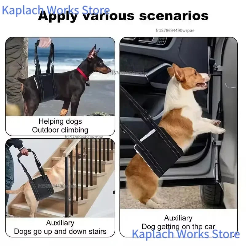 Arnés de Soporte Ajustable para Patas Traseras de Perros - Faja de Rehabilitación y Asistencia para Mascotas Mayores, con Movilidad Reducida o Debilidad