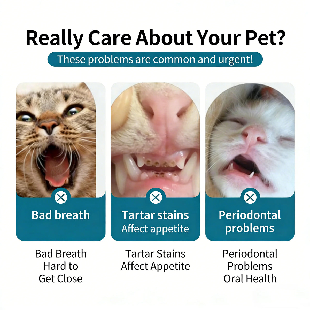 Set de 3 Cepillos de Dientes para Mascotas con Cerdas Suaves – Higiene Dental para Perros Pequeños, Medianos, Grandes y Gatos