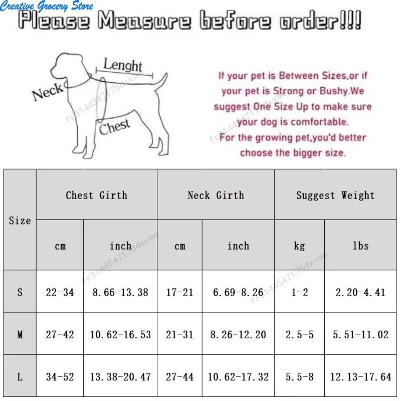 Conjunto de Arnés y Correa con Alas de Ángelet - Chaleco Anti escape Transpirable y Ajustable para Paseos y Adiestramiento de Cachorros y Perros Pequeños
