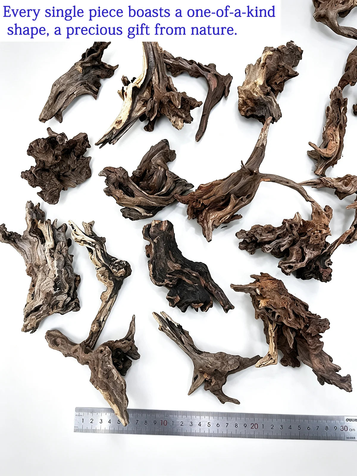 Raíz de Madera Natural Hundible para Acuarios y Terrarios – Tronco Decorativo para Paisajismo Acuático (Aquascaping) y Plantas