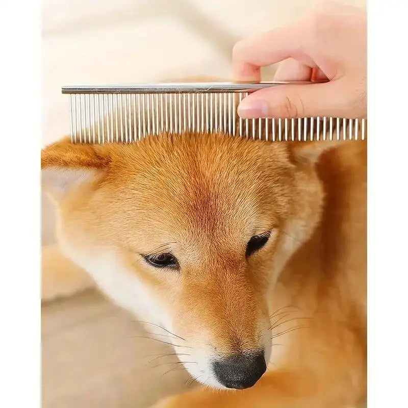 Set de 4 Tijeras Profesionales de Grooming para Perros y Gatos – Tijeras de Acero Inoxidable Ambidiestras con Punta Redonda de Seguridad para Corte de Precisión