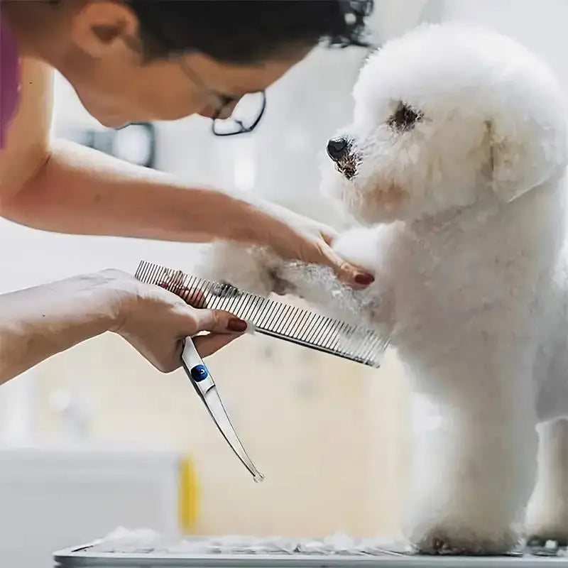 Set de 4 Tijeras Profesionales de Grooming para Perros y Gatos – Tijeras de Acero Inoxidable Ambidiestras con Punta Redonda de Seguridad para Corte de Precisión