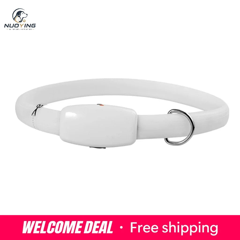 Collar LED Recargable por USB para Perros - Collar Luminoso de Alta Visibilidad, Resistente al Agua y Recortable para Seguridad en Paseos Nocturnos (Tallas S, M y L)