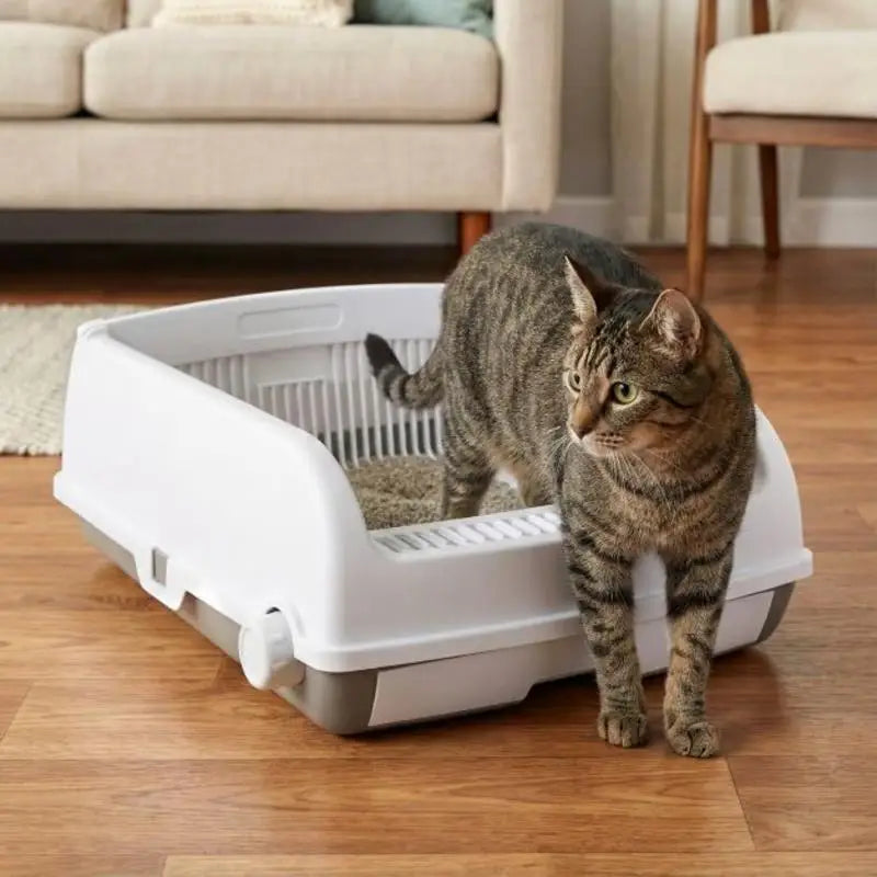 Arenero Semi-Automático para Gatos con Tapa Abierta y Bandeja Deslizante - Baño Higiénico Antisalpicaduras con Pala Incluida (Color Blanco)